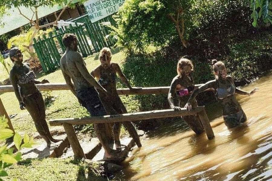 Nadi: Private Tour with Temple, Garden, Markets & Mud Pools - Starting at the Sri Siva Subramaniya Swami Temple