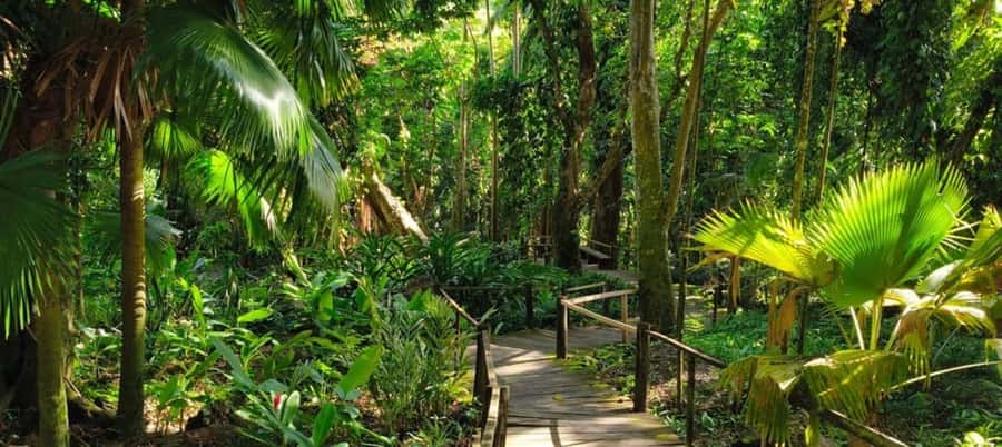 NADI-SABETO: Exquisite Orchid Garden with Hotspring Mudpool - Orchids, lily ponds, and rainforest shade