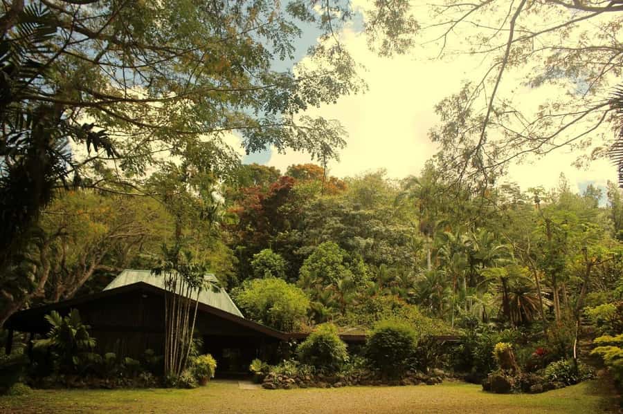 NADI-SABETO: Exquisite Orchid Garden with Hotspring Mudpool - Finishing in the hot pool