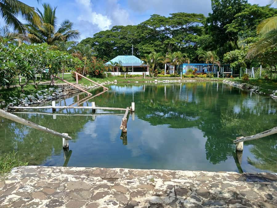 NADI-SABETO: Tifajek Hot Spring and Mudpool Natural Spa - Sabeto’s springs and the World War II story