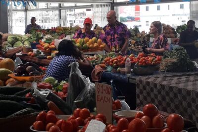 Nadi Sightseeing Including Viseisei Lookout, Village Tour, Garden & Temple Tour