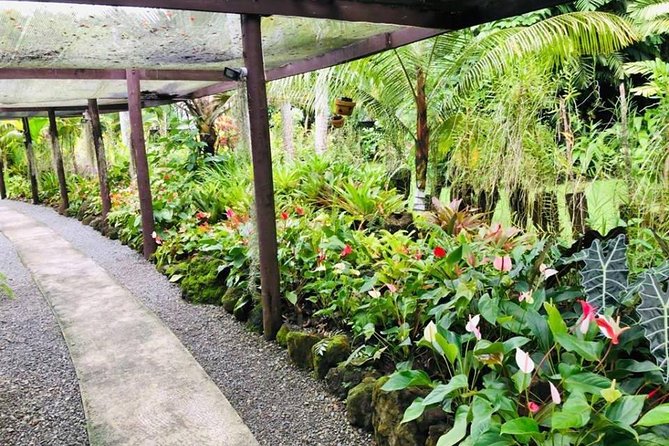 Nadi Sightseeing & Mud Pool Tour - Ex Fiji Marriott, Momi Bay - Namaka market and a taste of everyday Fiji