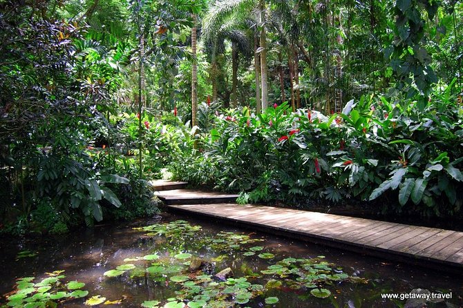 Nadi Sightseeing & Mud Pool Tour - Ex Fiji Marriott, Momi Bay - Sri Siva Subramaniya Temple in about 20 minutes