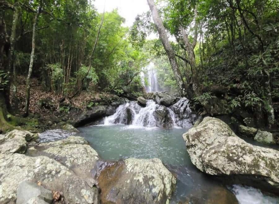 Nadi: Waterfall Tour Adventure with Refreshments and Lunch - Key details before you book