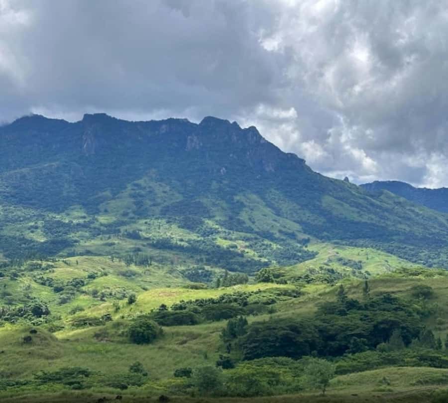 Nadi: Waterfall Tour Adventure with Refreshments and Lunch - A waterfall reached by village paths