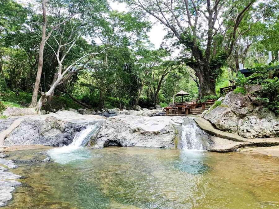 Nadi: Zipline, Waterfalls, and Jungle Safari Tour with Lunch - Seven ziplines above Fiji’s rainforest