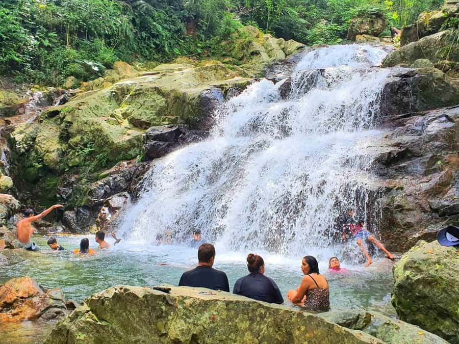 Nadi: Zipline, Waterfalls, and Jungle Safari Tour with Lunch - Lunch beside streams and jungle foliage