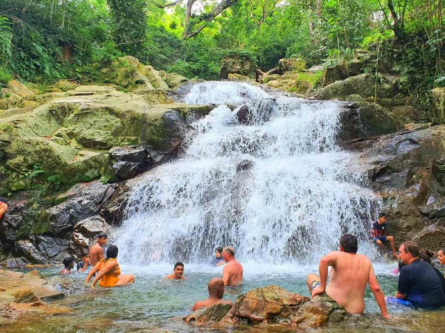 Nadi: Zipline, Waterfalls, and Jungle Safari Tour with Lunch - Should you book the Sleeping Giant combination tour?