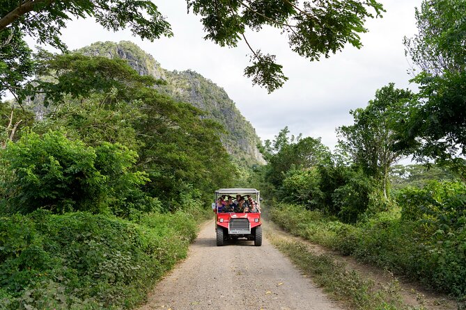 Naihehe Cave Safari in Sigatoka with BBQ Lunch - The BBQ lunch is part of the experience