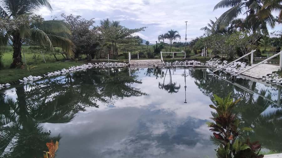 Natadola Beach Tour With Tifajek Mud Pool & Hotspring - Group size and guide service