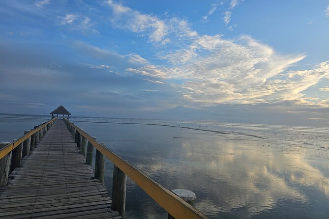 Premier Transfers and Tours Fiji - What the private vehicle means for your day