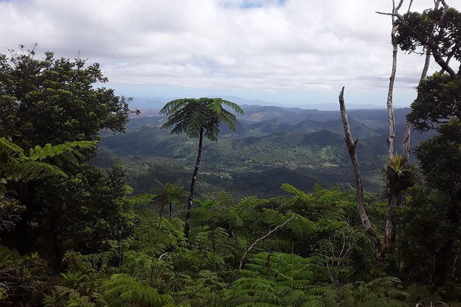 Private Breathtaking Mnt Victoria Day Trek - Nadarivatu and the road toward Navai Village