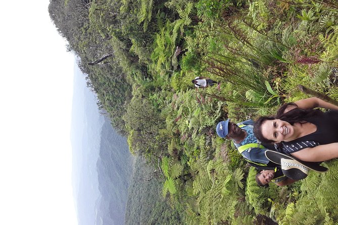 Private Breathtaking Mnt Victoria Day Trek - What Peni adds to the day