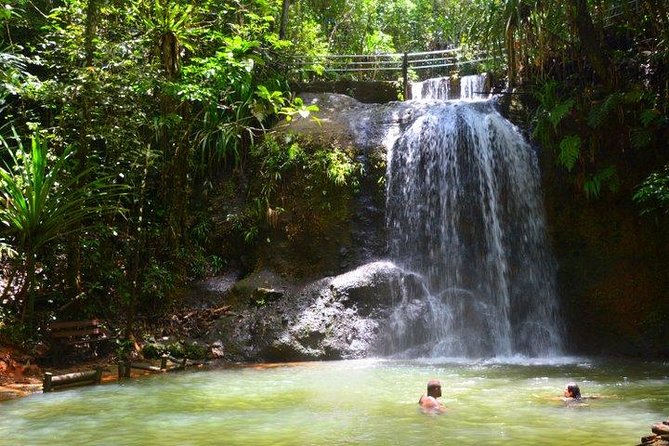 Private Suva Nature and Waterfall Tour - Choosing the upper or lower waterfall trail