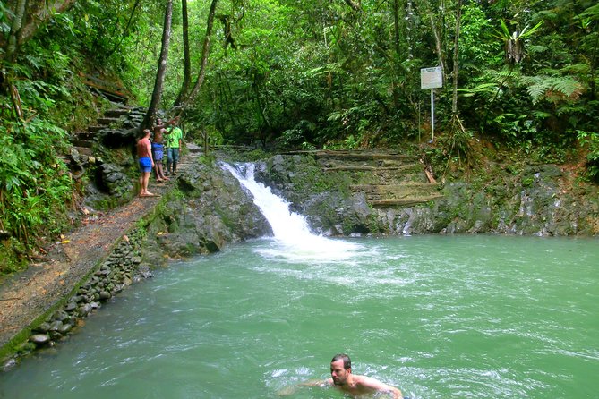 Private Suva Nature and Waterfall Tour - A rainforest walk with a personal guide