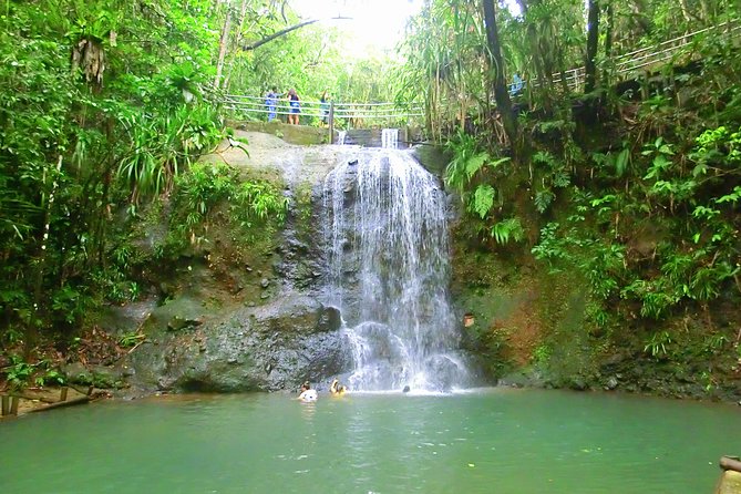 Private Suva Nature and Waterfall Tour - Safety, comfort, and what to pack
