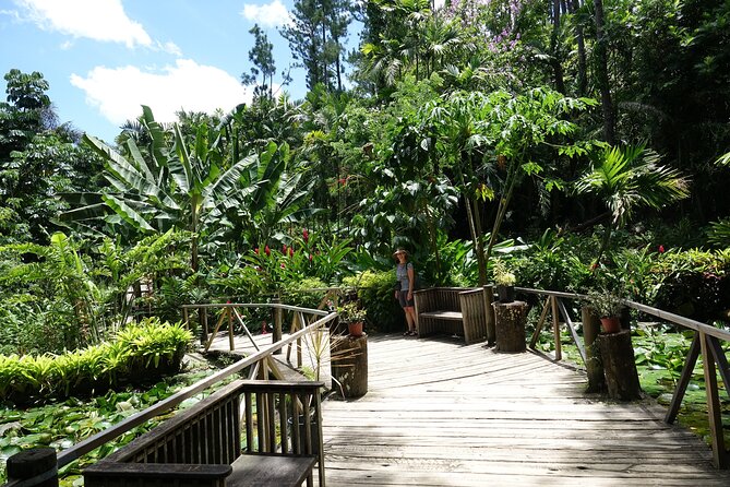 Private Tour: Best of Nadi Highlights - Garden of the Sleeping Giant: orchids and a quiet walk