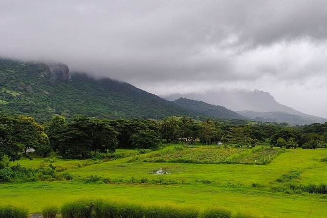 Private Tour: Best of Nadi Highlights - Sri Siva Subramaniya Swami Temple and Nadi’s Indian heritage