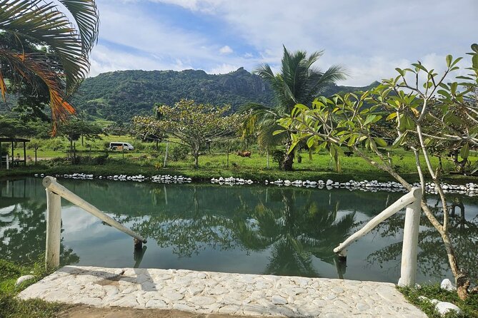 Private Tour: Hot spings & Sleeping Giant Garden hiking Adventure - What to pack for comfort