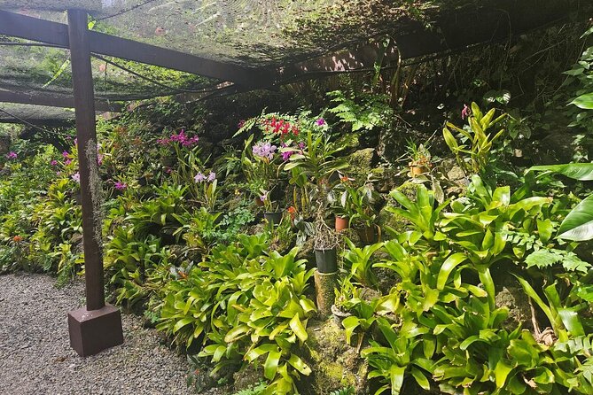 Private Tour: Hot spings & Sleeping Giant Garden hiking Adventure - A fair look at the service