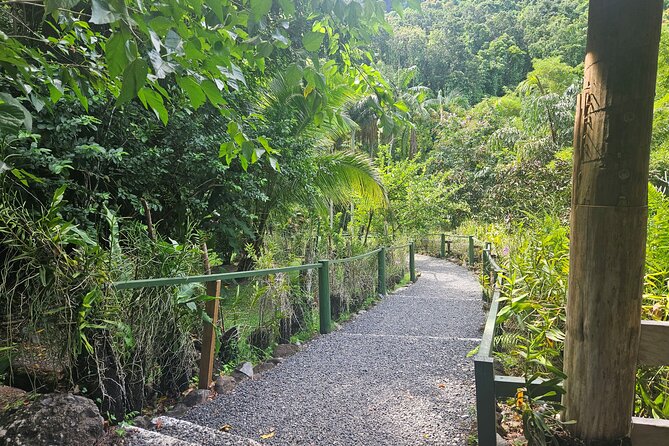 Private Tour: Hot spings & Sleeping Giant Garden hiking Adventure - Is this Nadi tour worth booking?