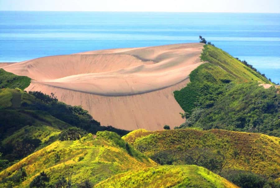 Private Tour: Pacific's Largest Dunes & Famous Waterfall - The five-hour Biausevu forest outing