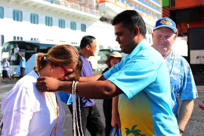 Private Transfer: Nadi Airport to Coral Coast - 1 to 4 Seat Vehicle - A straightforward start from Nadi Airport