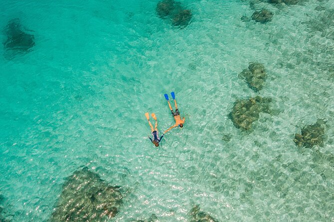 Ride & Slide by South Sea Cats - Half Day Snorkelling Trip - Who should book Ride and Slide?