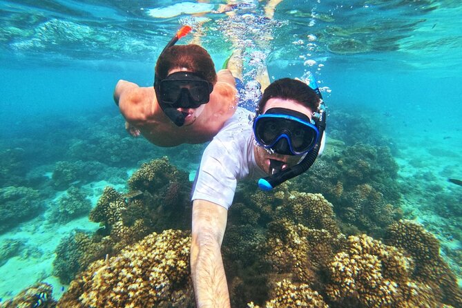 Ride & Slide by South Sea Cats - Half Day Snorkelling Trip - Weather, cancellations, and simple planning