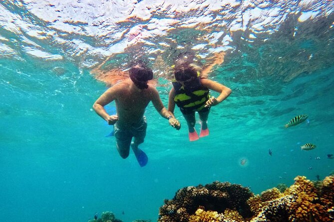 Ride & Slide by South Sea Cats - Half Day Snorkelling Trip - Is Ride & Slide worth booking?