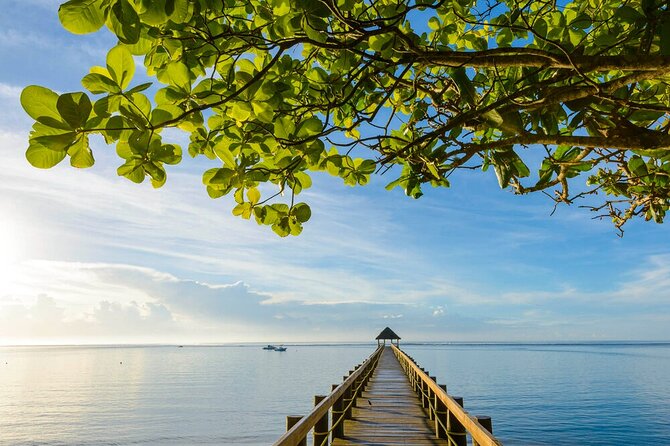 Round The Island Day Trip Fiji- Viti Levu - Pacific Harbour and a brief cultural glimpse