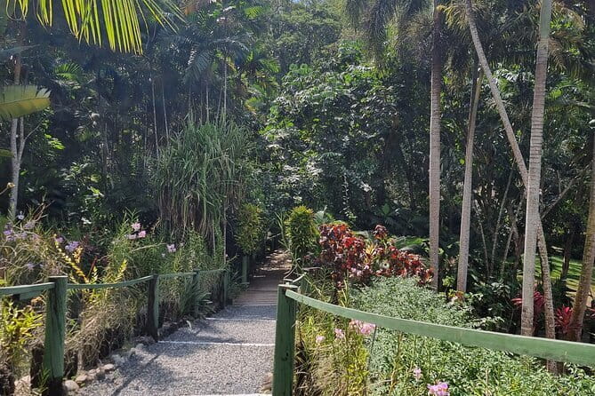 Round The Island Day Trip Fiji- Viti Levu - Rakiraki and the Fiji Water connection