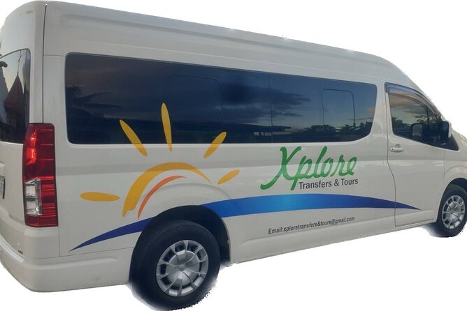 Round-trip Nadi Int Airport - Denarau Hotels (Private Transfer) - Meeting your driver at Nadi International Airport