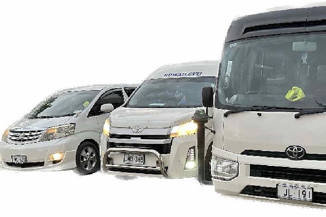 Round Trip Transfer-Nadi Airport to Denarau Island Resorts - The return journey to Nadi Airport