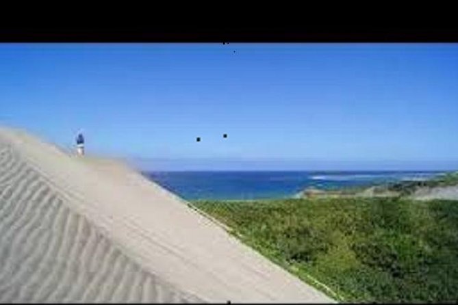 Scenic Sigatoka Valley Drive, Fijian Pottery Village, Local School & Sand Dunes Ex Nadi Hotels - Key points to know before booking