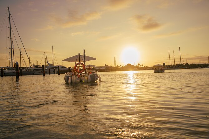 Self Drive BBQ eBoat Cruise with Onboard BBQ Denarau Fiji - Who will enjoy this most?