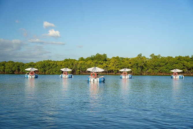 Self Drive BBQ eBoat Cruise with Onboard BBQ Denarau Fiji - Music, games, and the relaxed party mood