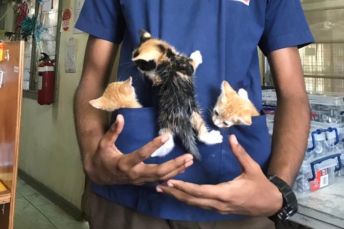 Shelter Visit & Tour - What You Get for $40.17
