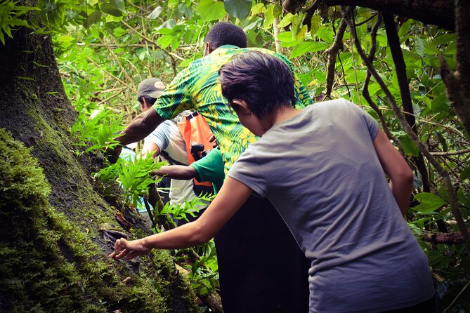 Small Group Hiking Adventure - Hidden Peaks - Lunch at a local home in Nausori village