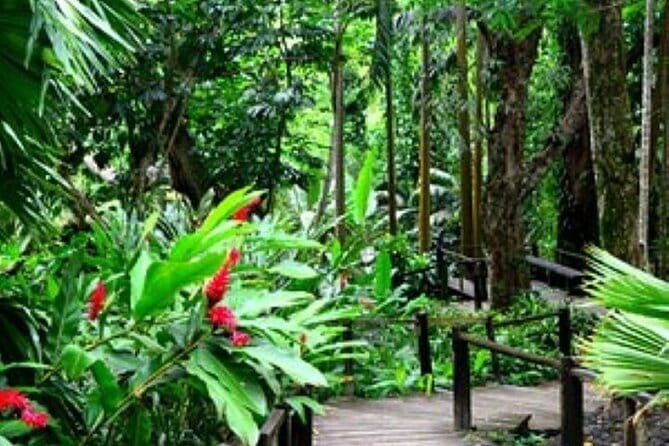 South Sea Island Half Day with Lunch & Drinks - The value of $85.68