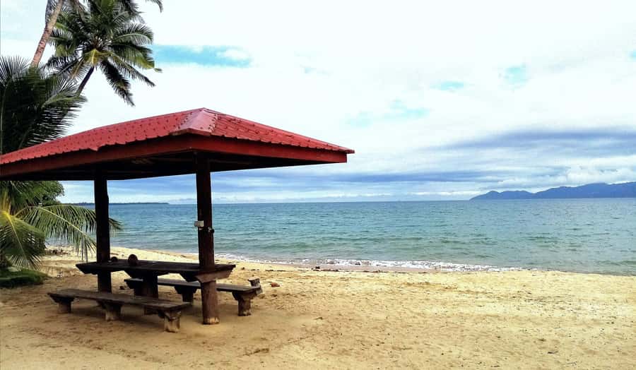 Suva Cruise Ship Tour - Who will enjoy this Suva tour?