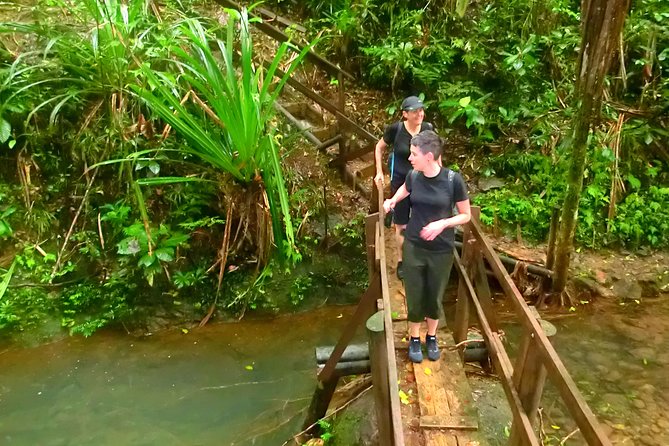 Suva Customized tour- Private - A flexible way to get acquainted with Suva