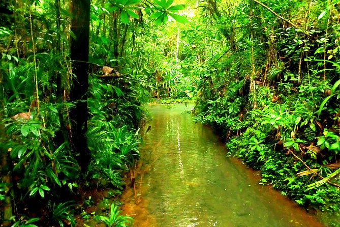 Suva Customized tour- Private - Pickup, fitness, and weather