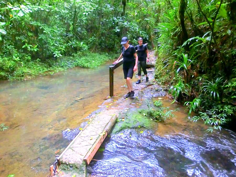 Suva: Fijian Nature and Waterfall Tour - Rain, landslides, and trail conditions