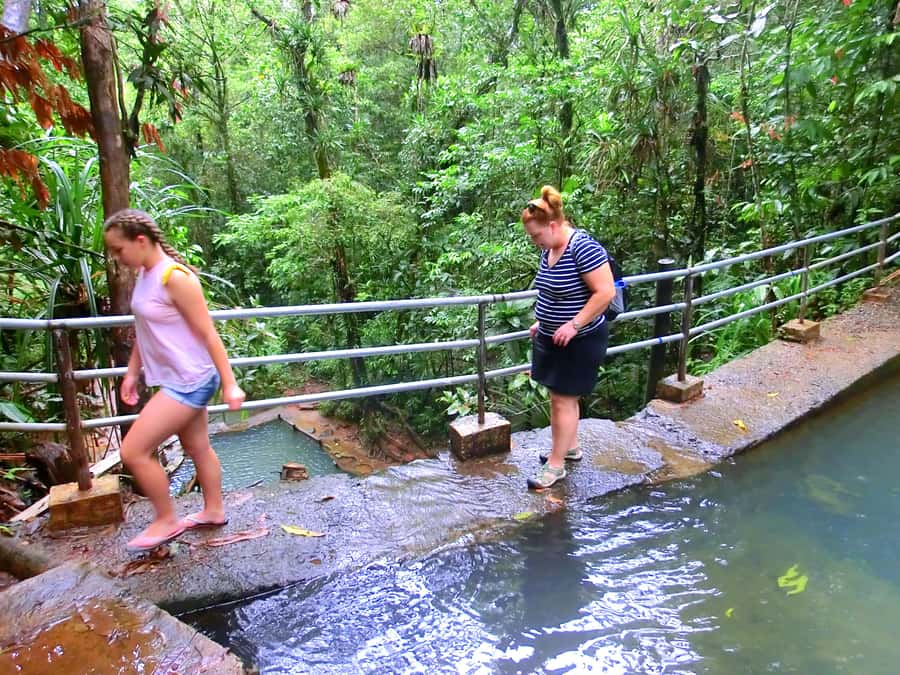 Suva: Fijian Nature and Waterfall Tour - Is $69 a fair price?