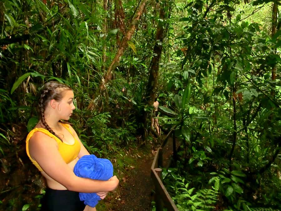 Suva: Fijian Nature and Waterfall Tour - What to bring for a comfortable visit
