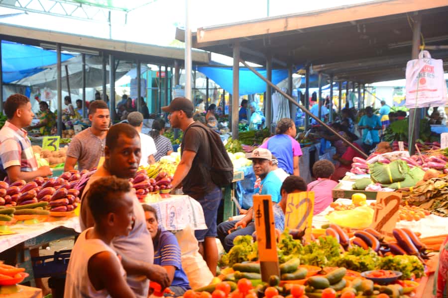 Suva: Half Day City Sightseeing Tour - What $79 buys you, and what it does not