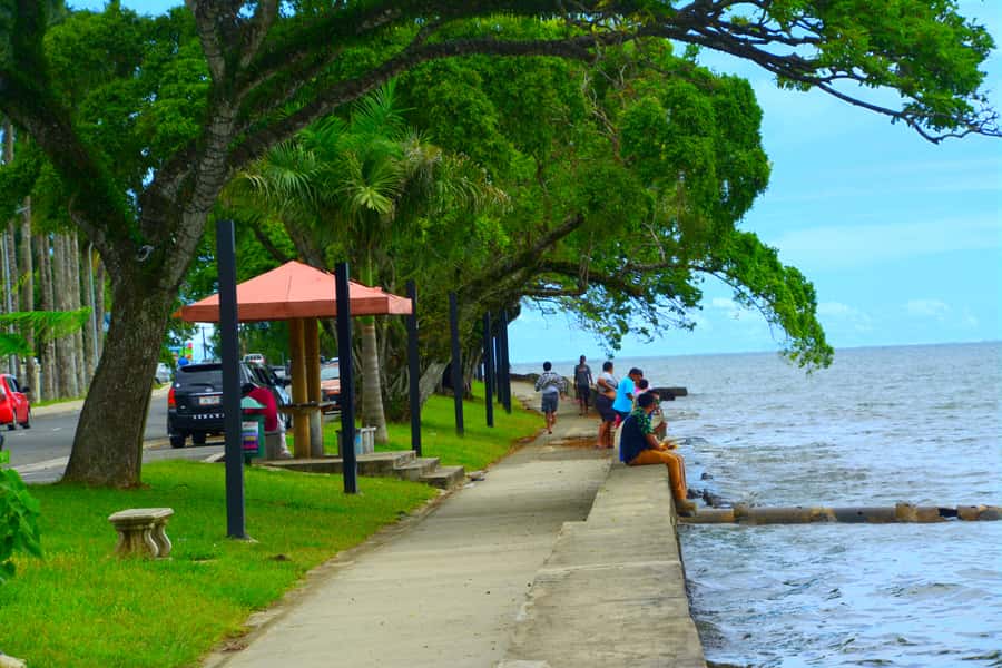 Suva: Half Day City Sightseeing Tour - Timing, transport, and how to protect your day