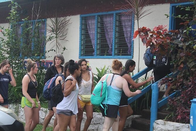 Waterfall and Fijian Village Tour with Light Lunch ex Nadi Area Hotels - The long road from Nadi to Sigatoka