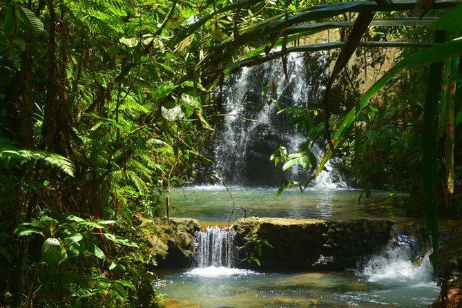 Waterfalls and Nature Tour - Starting at the Port and Choosing Your Route